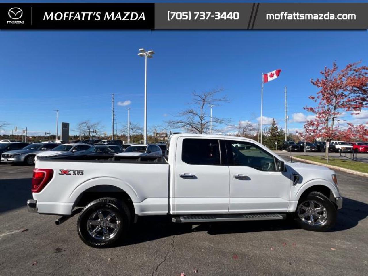 2022 Ford F-150 XLT Photo