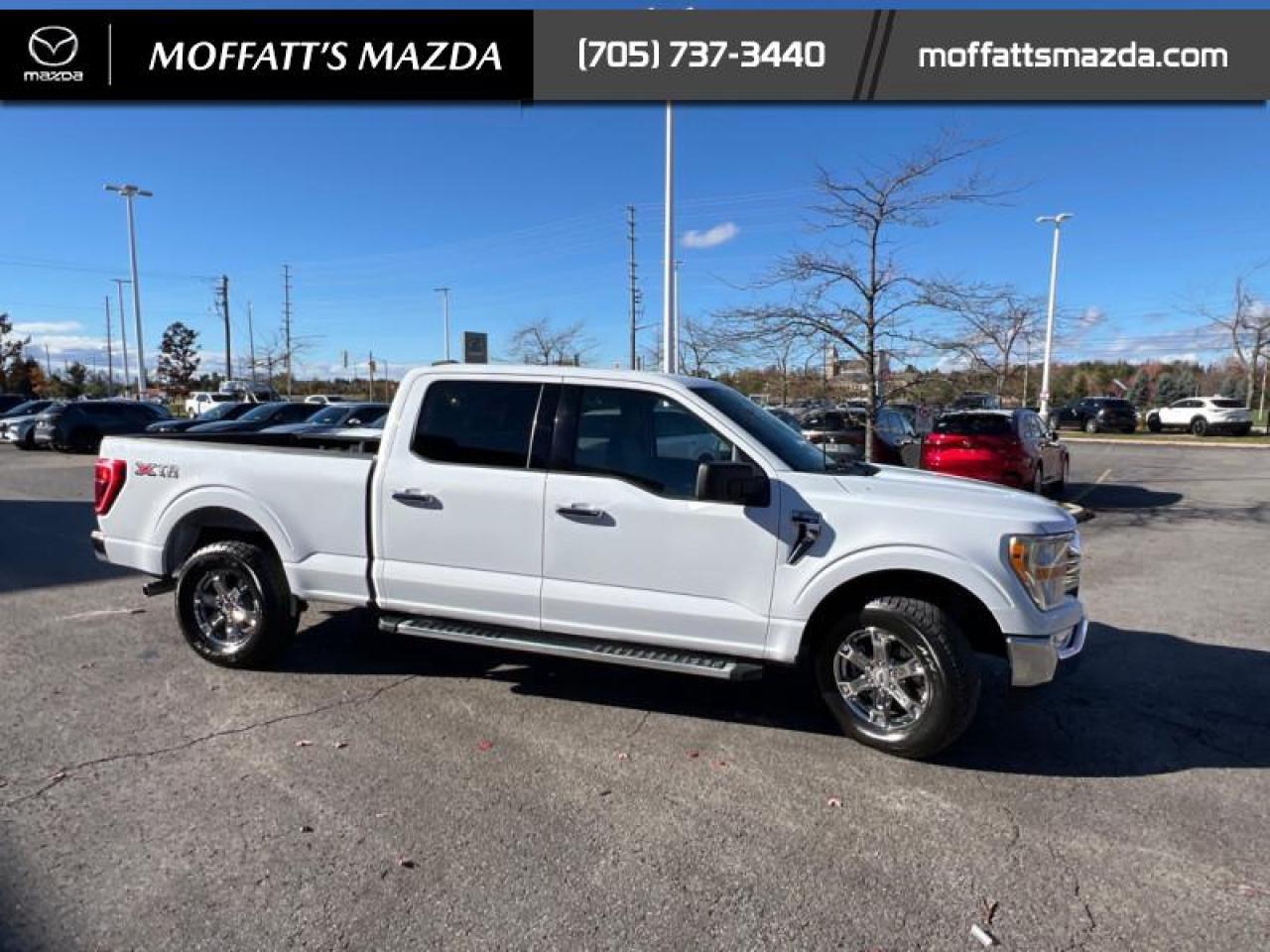 2022 Ford F-150 XLT Photo