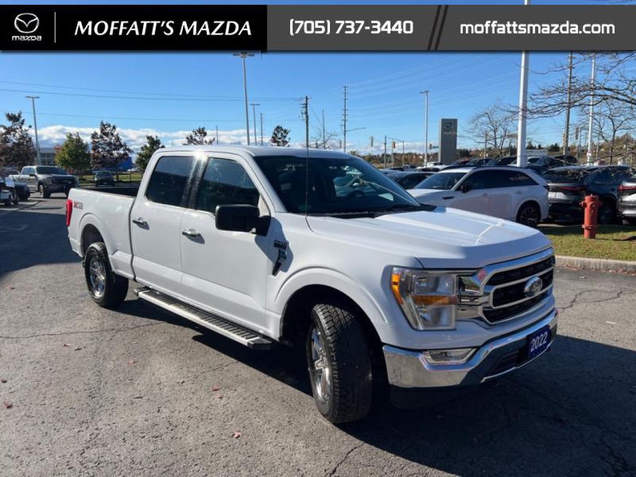 2022 Ford F-150 XLT Photo