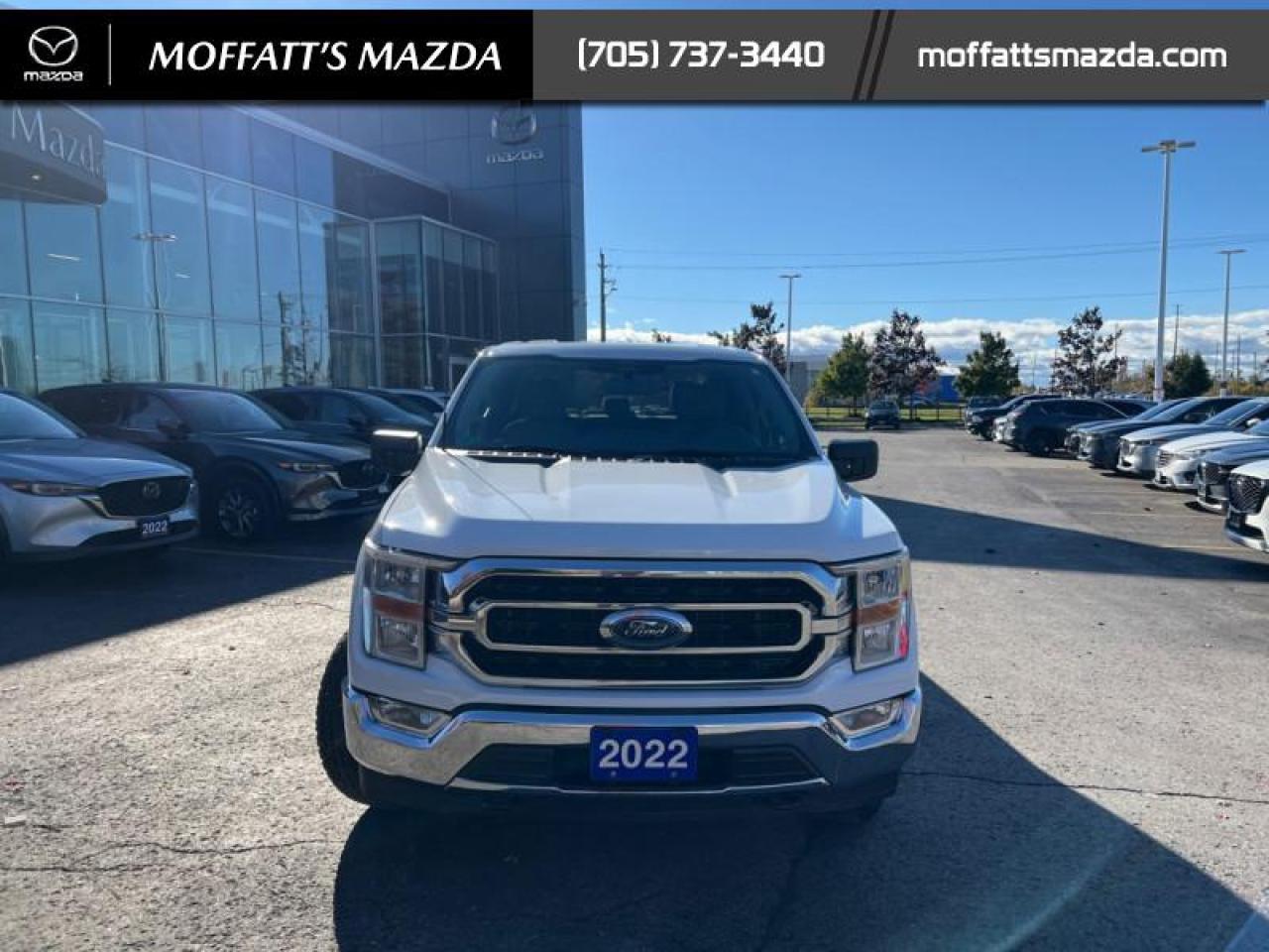 2022 Ford F-150 XLT Photo