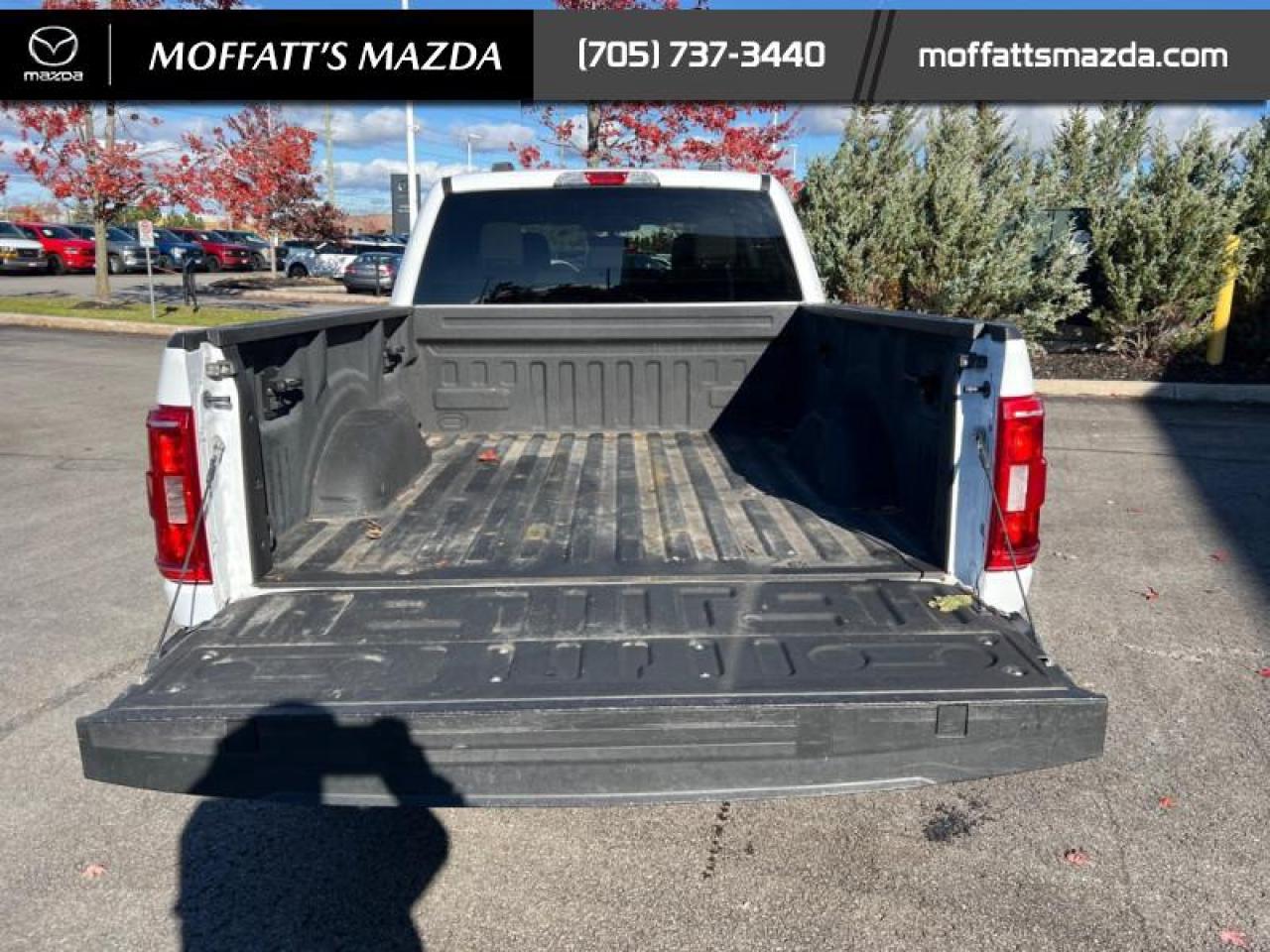 2022 Ford F-150 XLT Photo