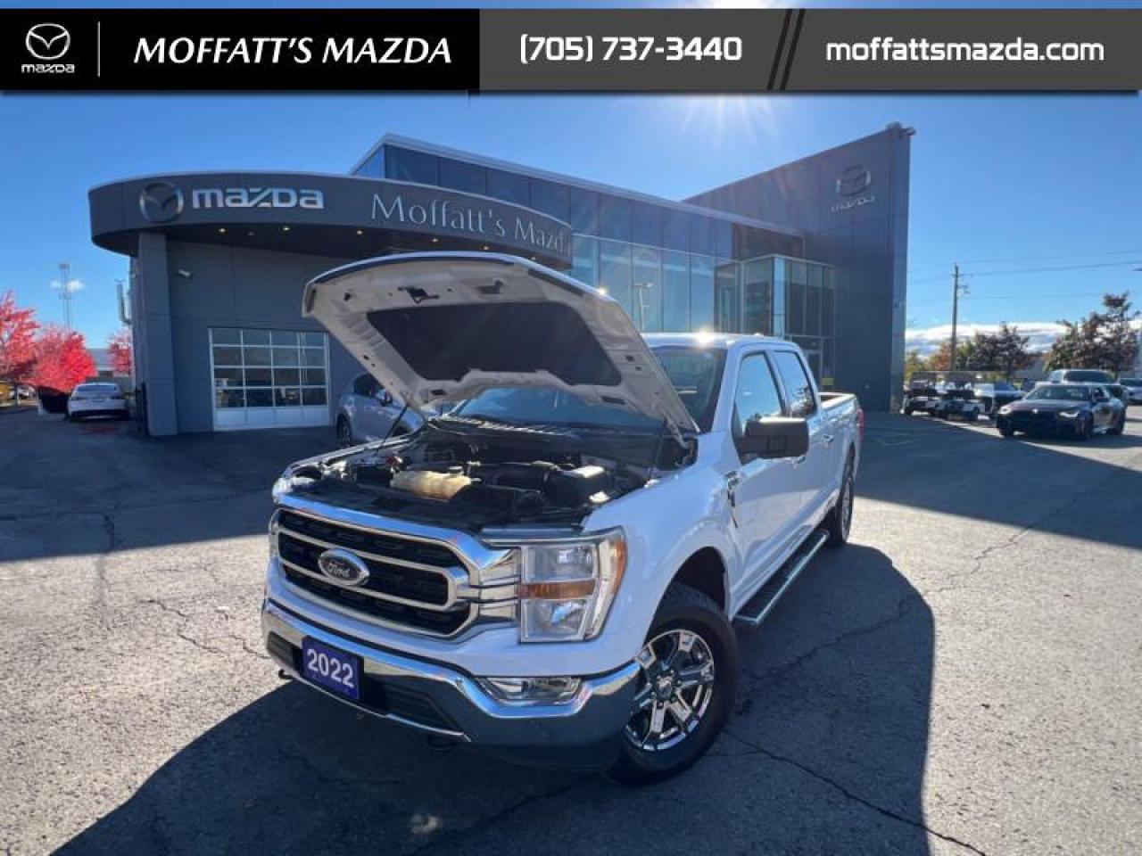 2022 Ford F-150 XLT Photo