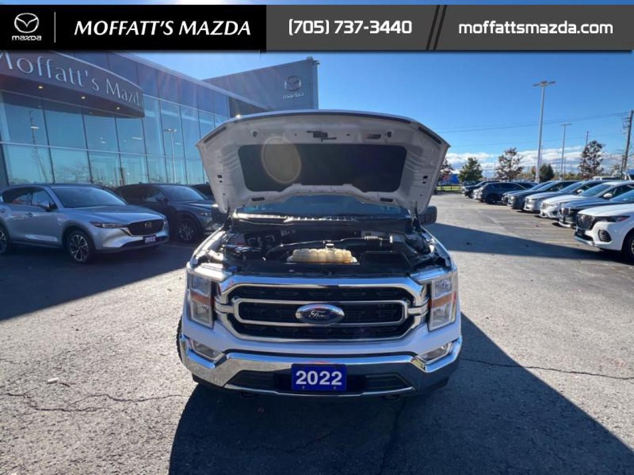 2022 Ford F-150 XLT Photo