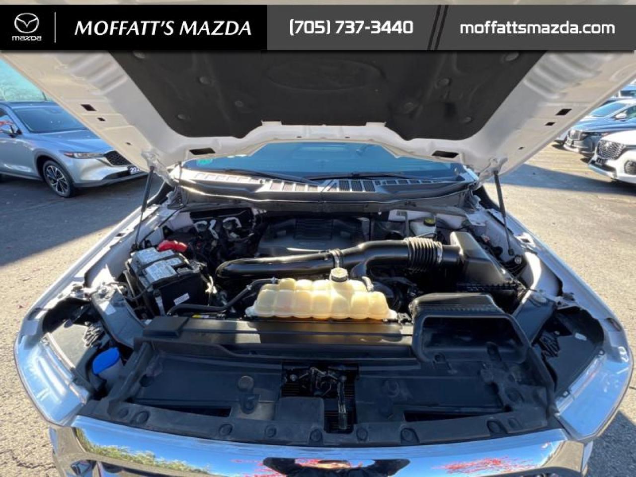 2022 Ford F-150 XLT Photo