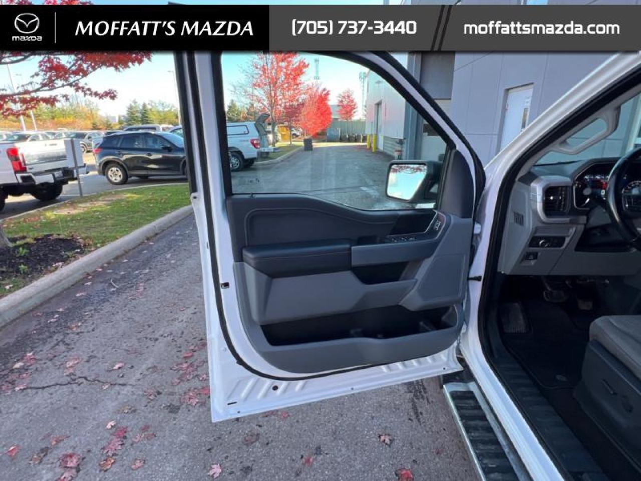 2022 Ford F-150 XLT Photo