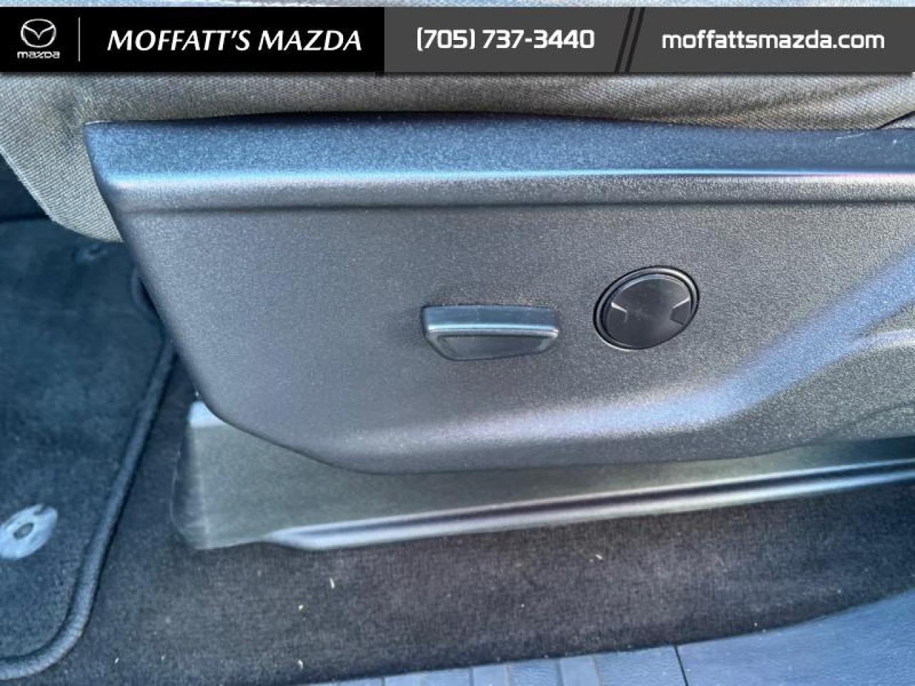 2022 Ford F-150 XLT Photo