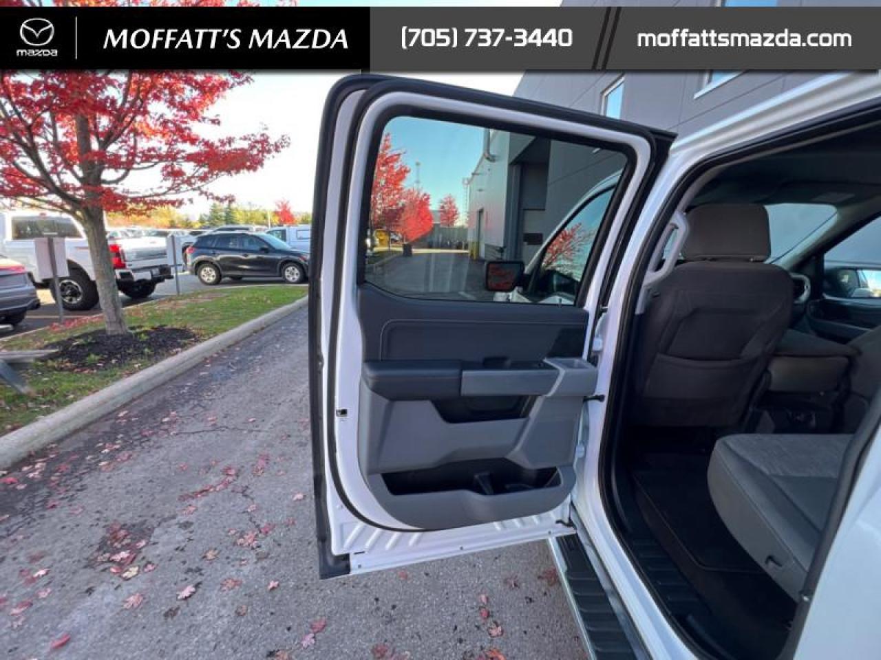 2022 Ford F-150 XLT Photo