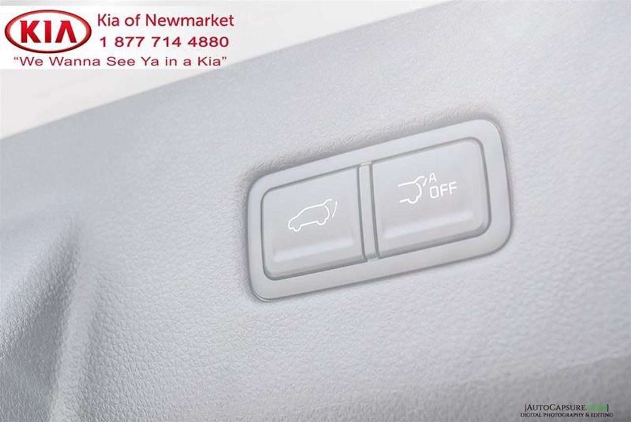 2022 Kia Carnival EX Passenger Van Photo