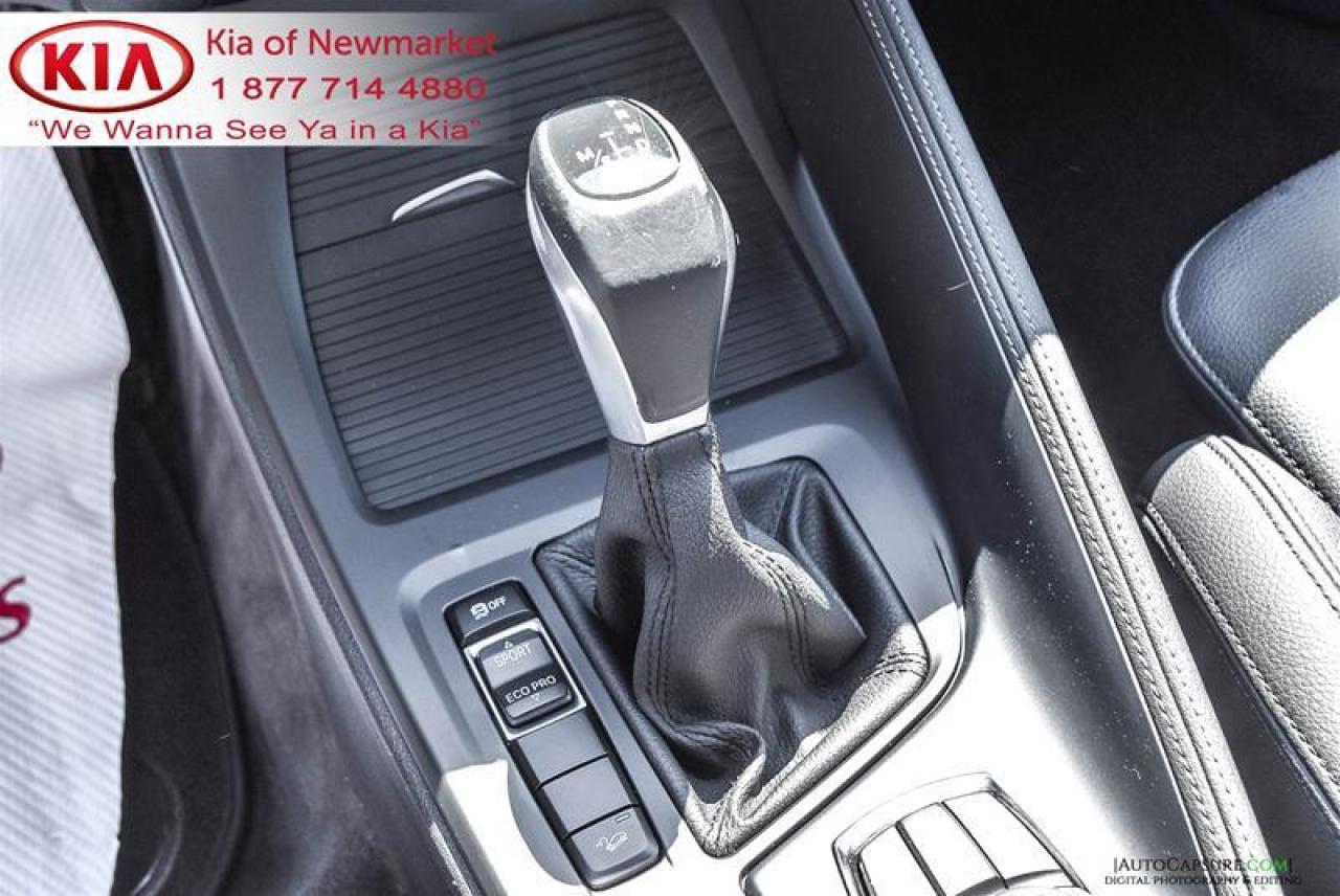 2017 BMW X1 xDrive28i 4dr All-wheel Drive Sports Activity Vehicle Photo