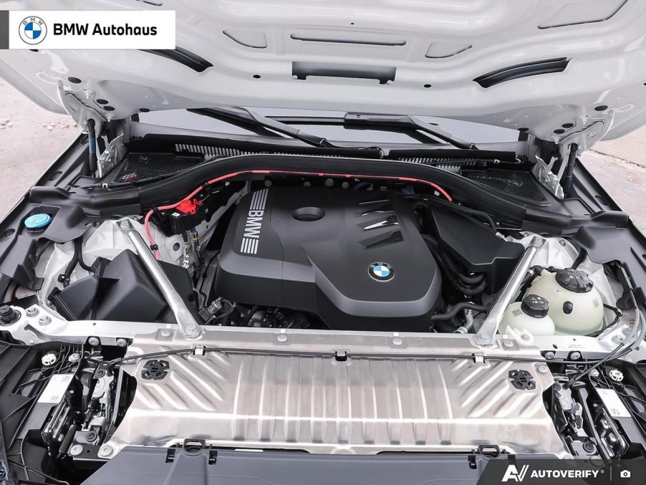 2025 BMW X3 30 xDrive Sports Activity Vehicle Photo