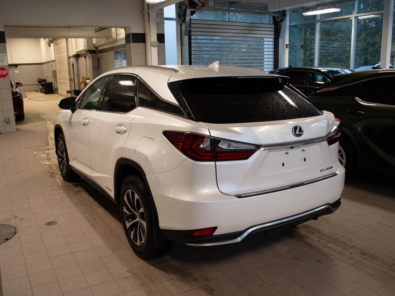 2022 Lexus RX 450h  Photo3