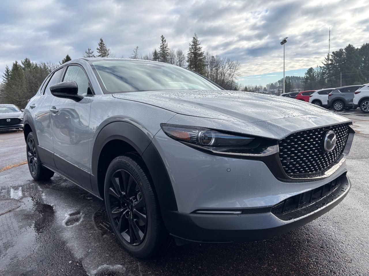 2025 Mazda CX-30 GT w/Turbo 4dr i-ACTIV All-Wheel Drive Sport Utility Photo