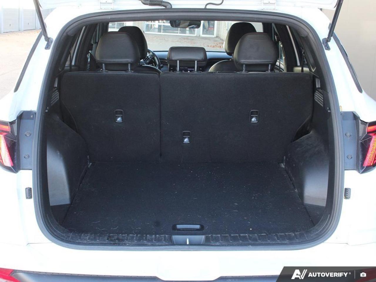 2022 Hyundai Tucson N Line 4dr All-Wheel Drive Photo