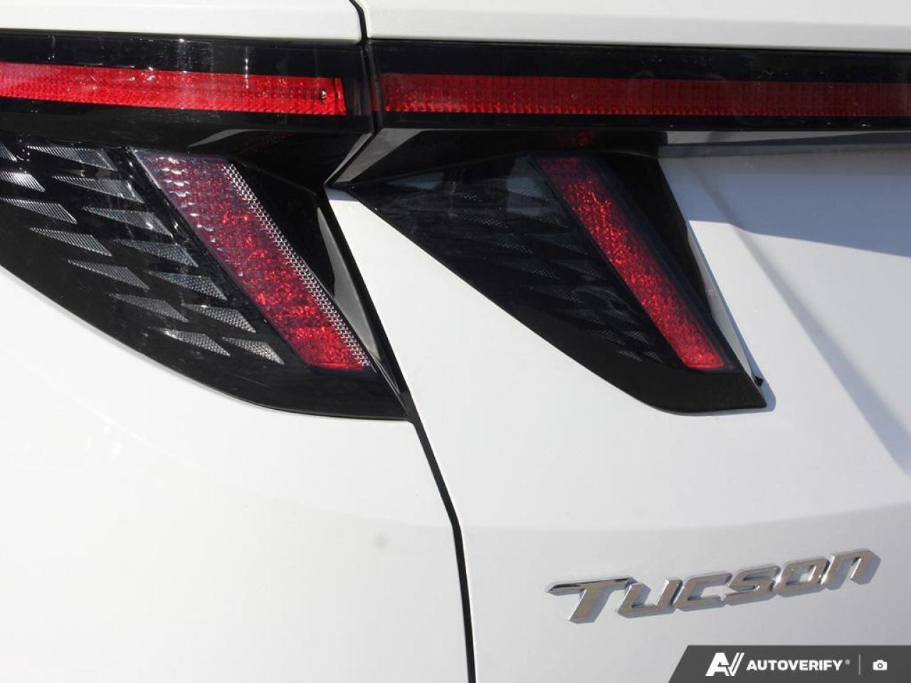 2022 Hyundai Tucson N Line 4dr All-Wheel Drive Photo