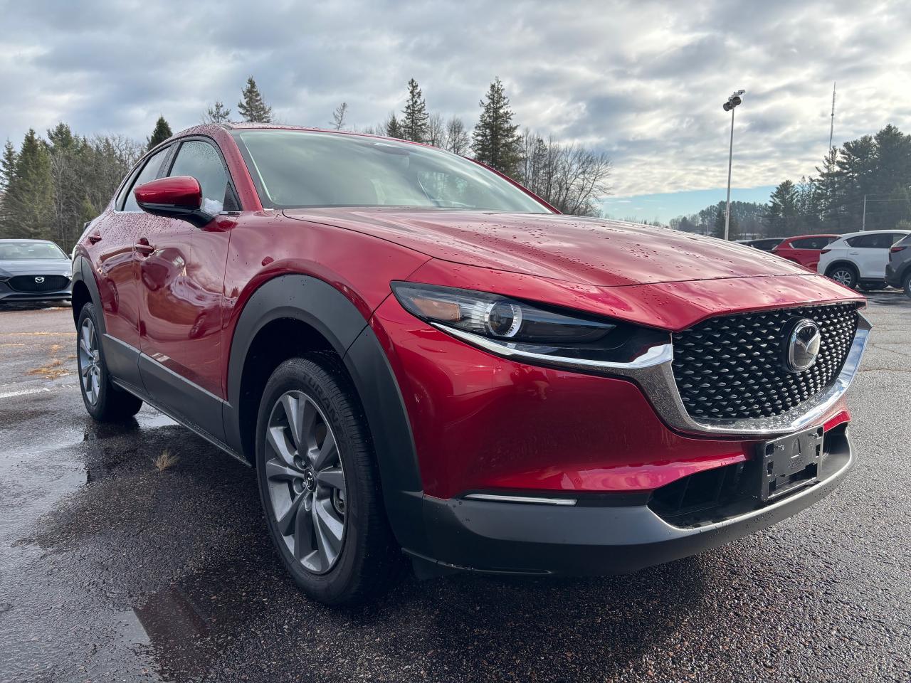 2025 Mazda CX-30 GS 4dr i-ACTIV All-Wheel Drive Sport Utility Photo