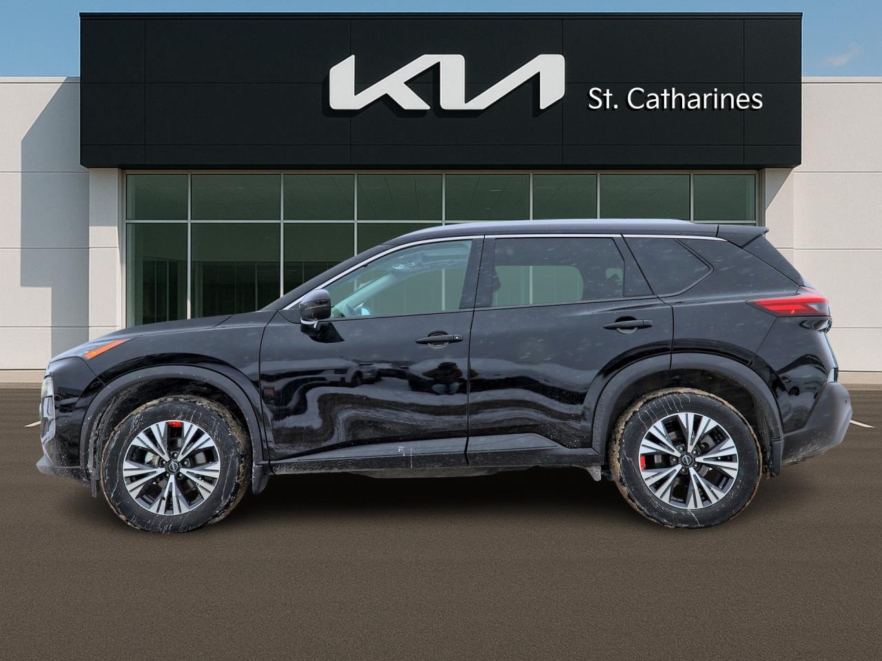 2023 Nissan Rogue SV AWD   Panoramic Roof   Climate Ctrl   Pwr Seat Photo2