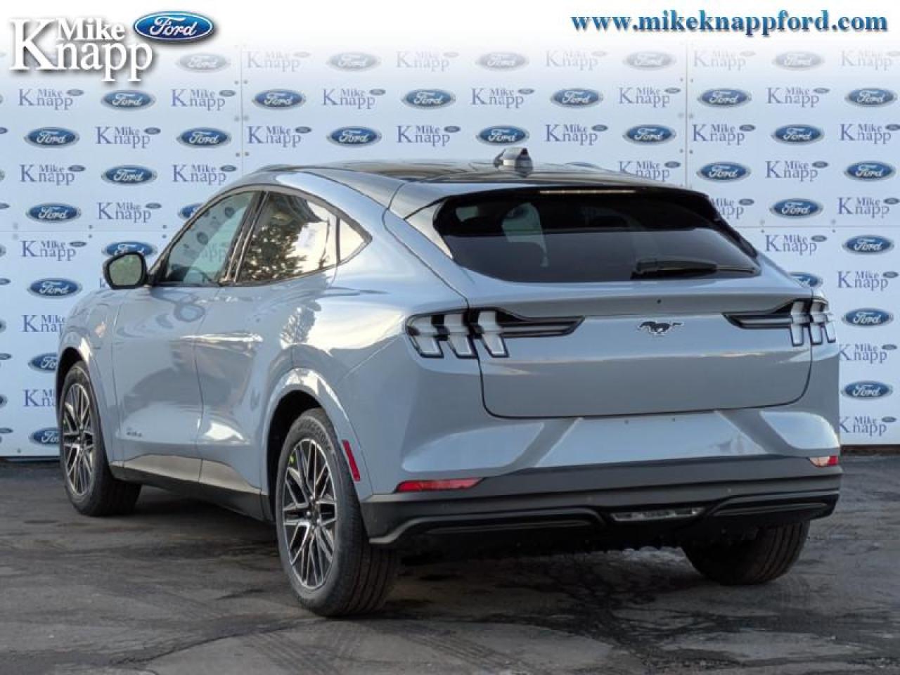 2025 Ford Mustang Mach-E Premium AWD Photo