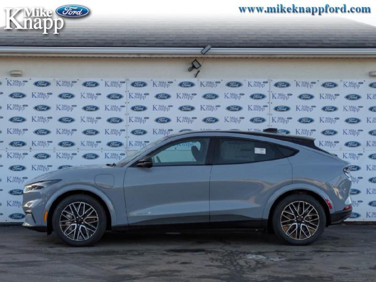 2025 Ford Mustang Mach-E Premium AWD Photo