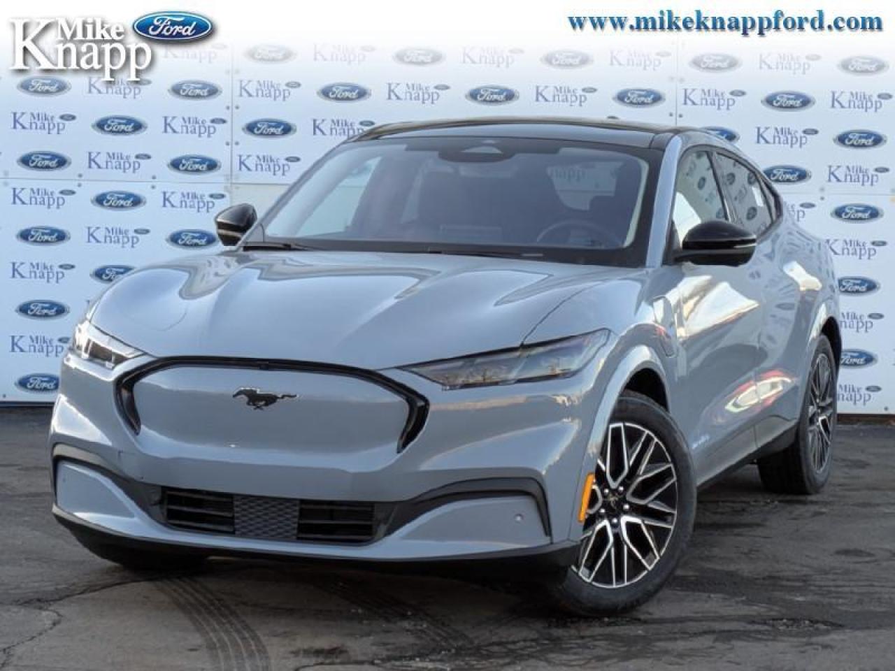 2025 Ford Mustang Mach-E Premium AWD Photo0