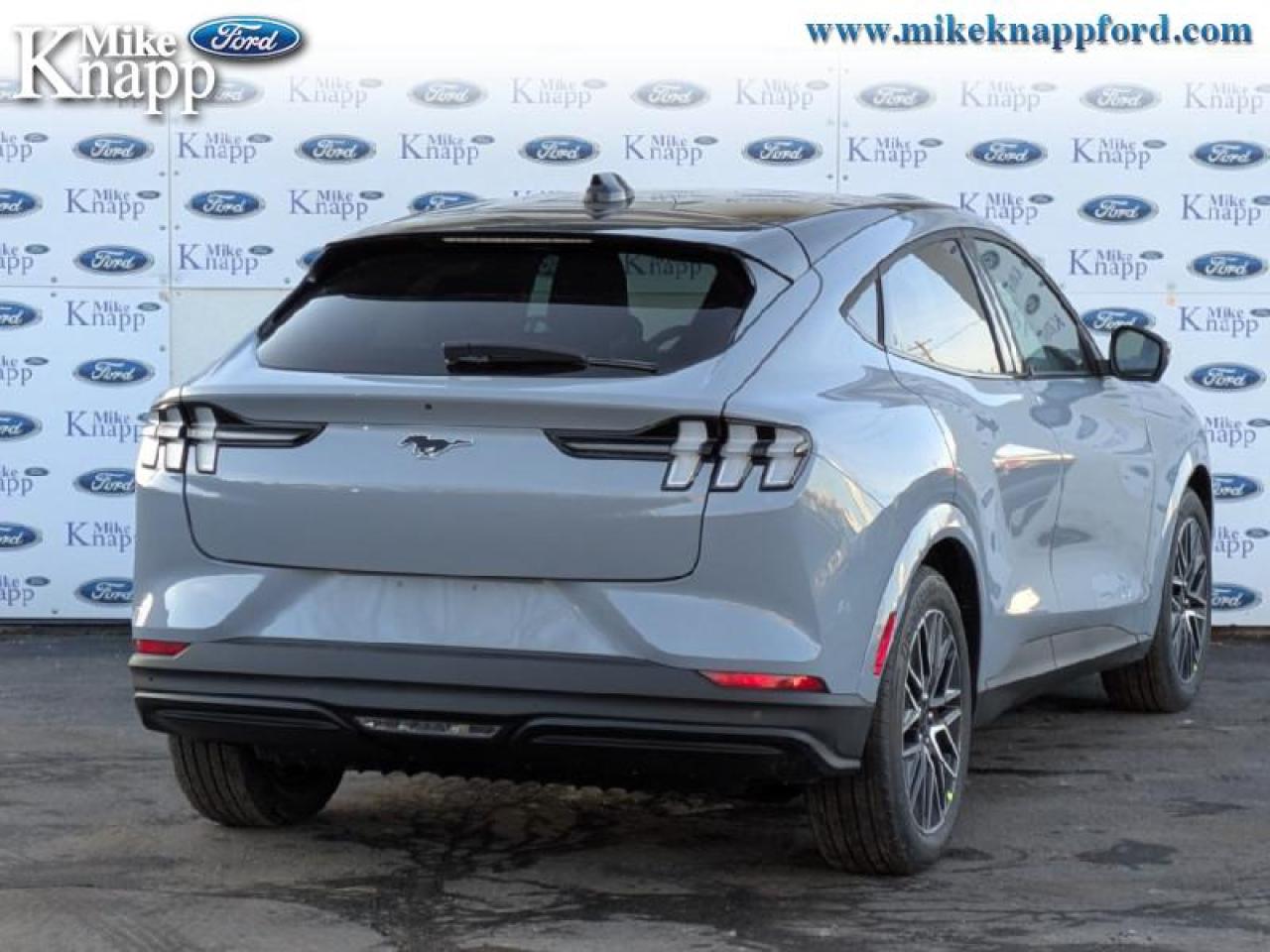 2025 Ford Mustang Mach-E Premium AWD Photo