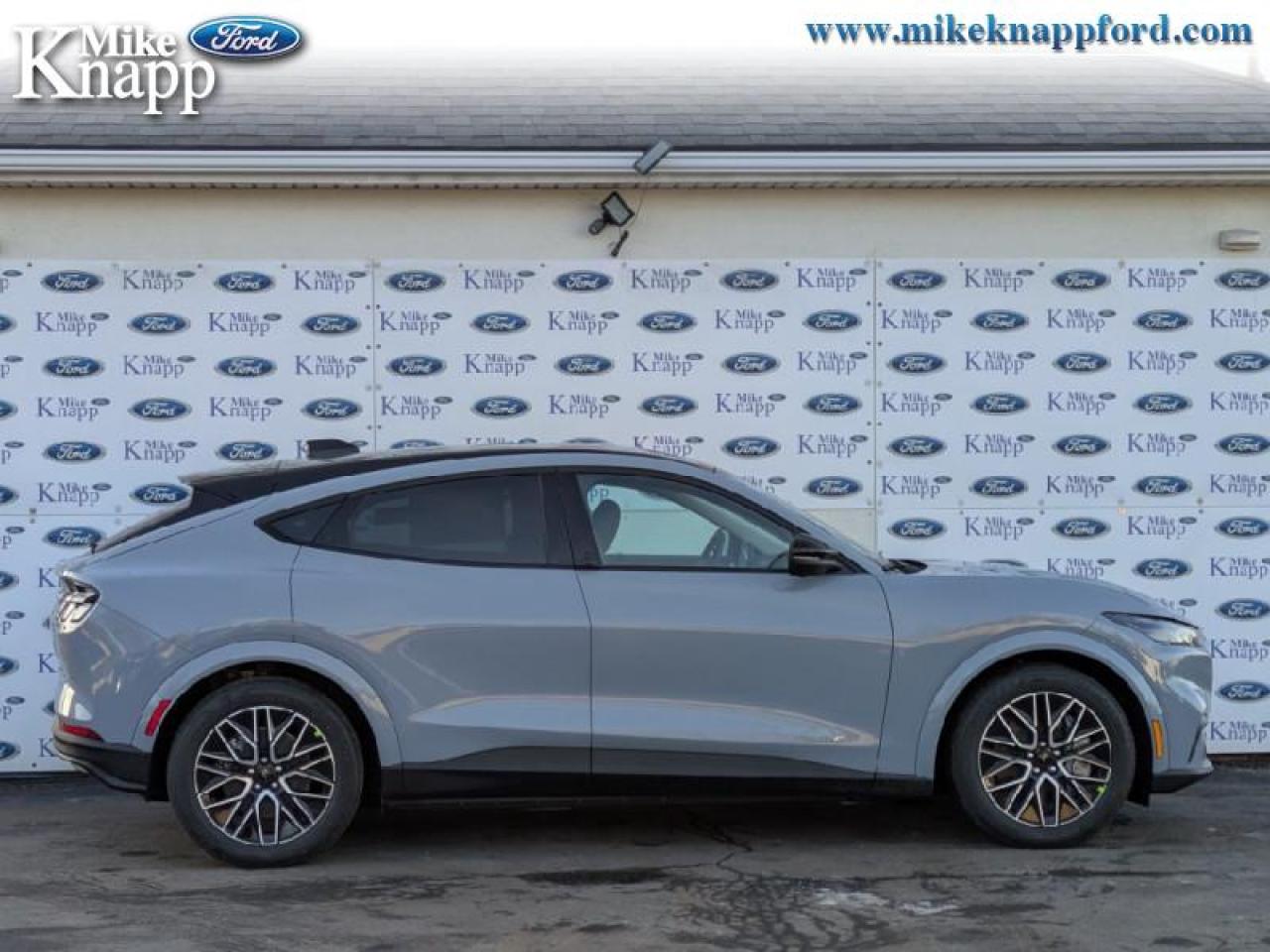 2025 Ford Mustang Mach-E Premium AWD Photo