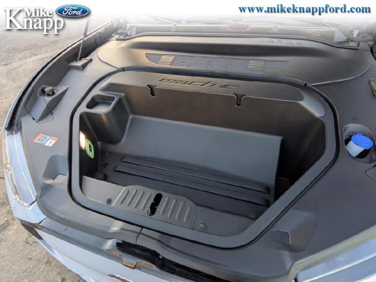 2025 Ford Mustang Mach-E Premium AWD Photo