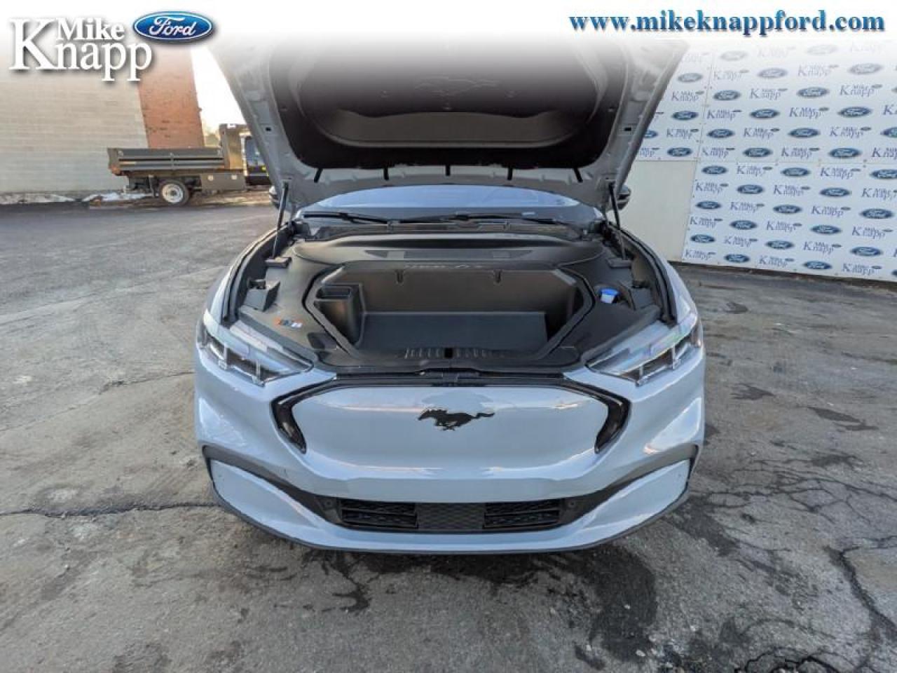 2025 Ford Mustang Mach-E Premium AWD Photo