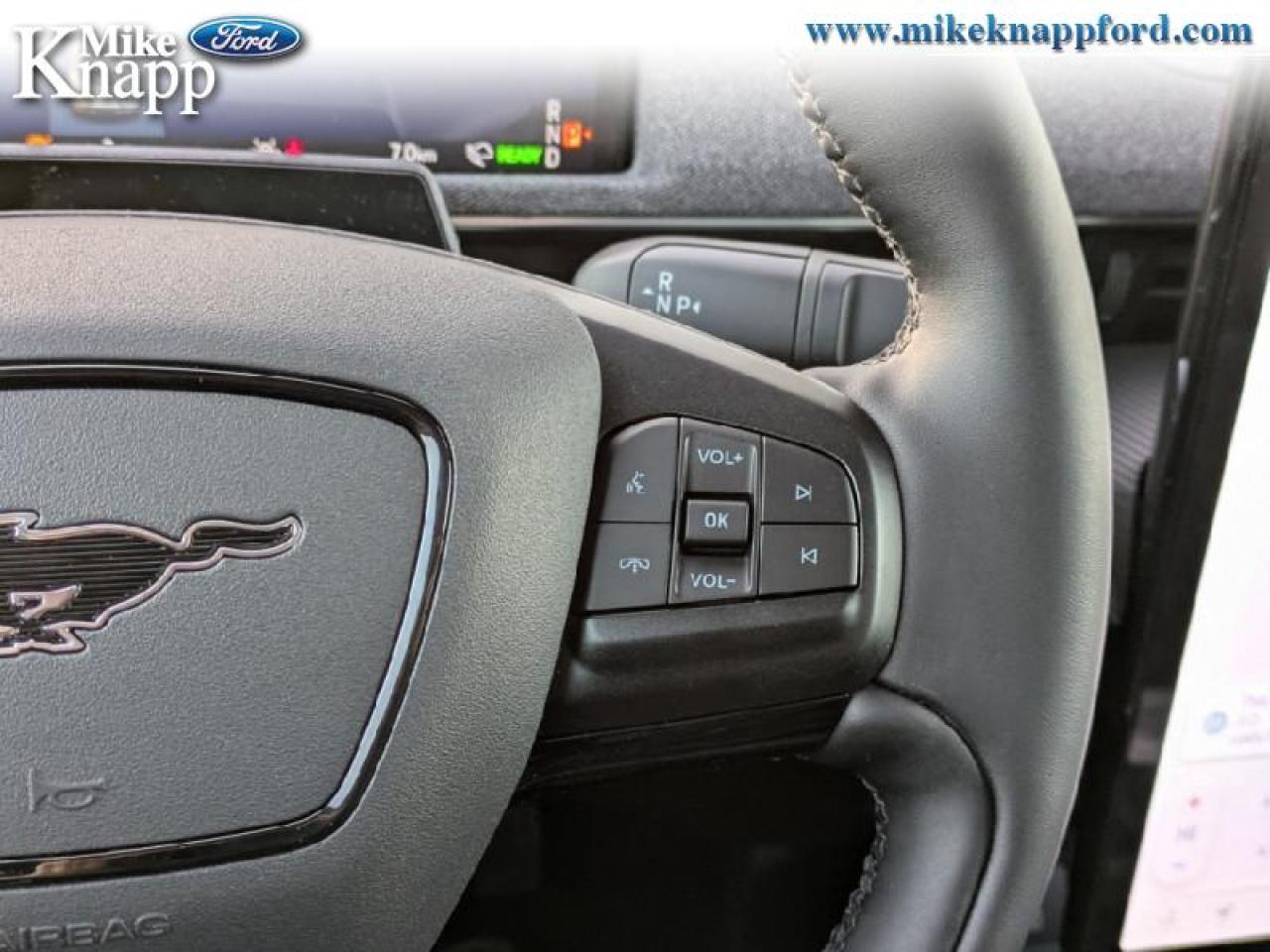 2025 Ford Mustang Mach-E Premium AWD Photo