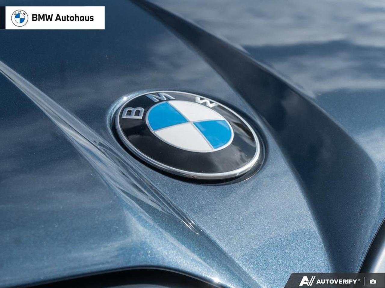 2026 BMW X3 Sports Activity Vehicle [53GP] Photo
