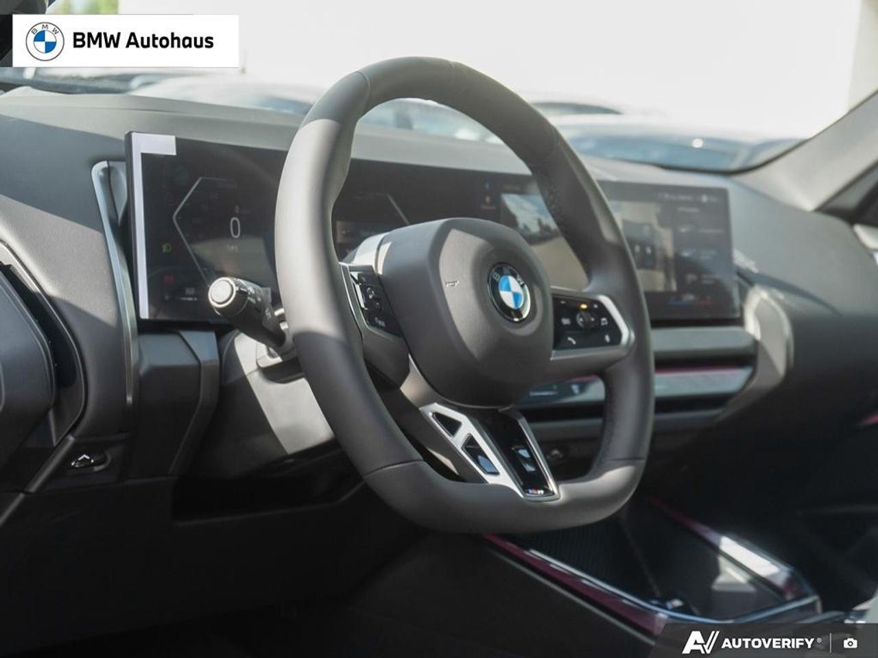 2026 BMW X3 Sports Activity Vehicle [53GP] Photo
