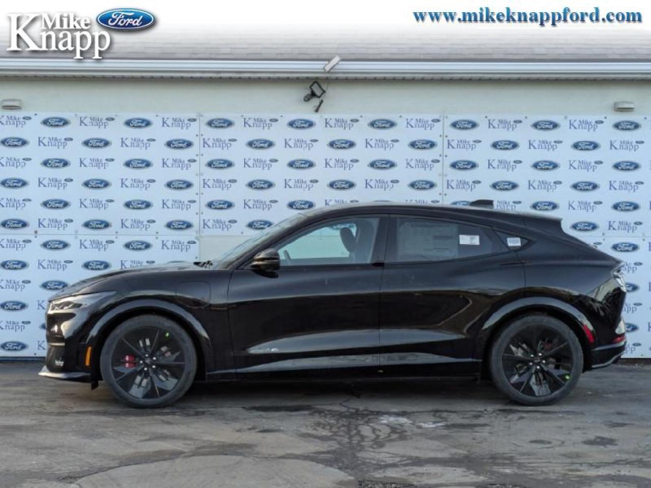 2025 Ford Mustang Mach-E GT Photo