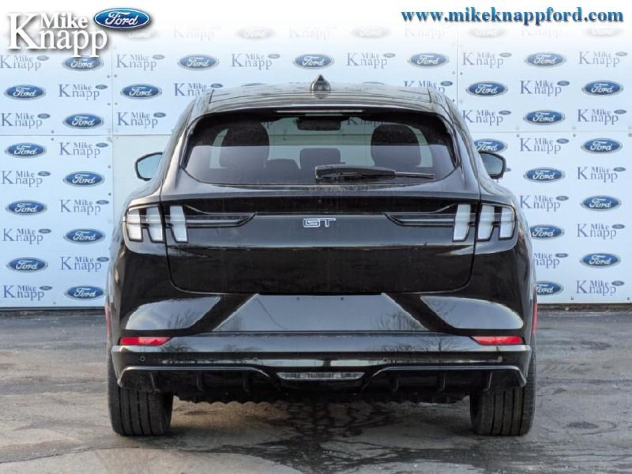 2025 Ford Mustang Mach-E GT Photo