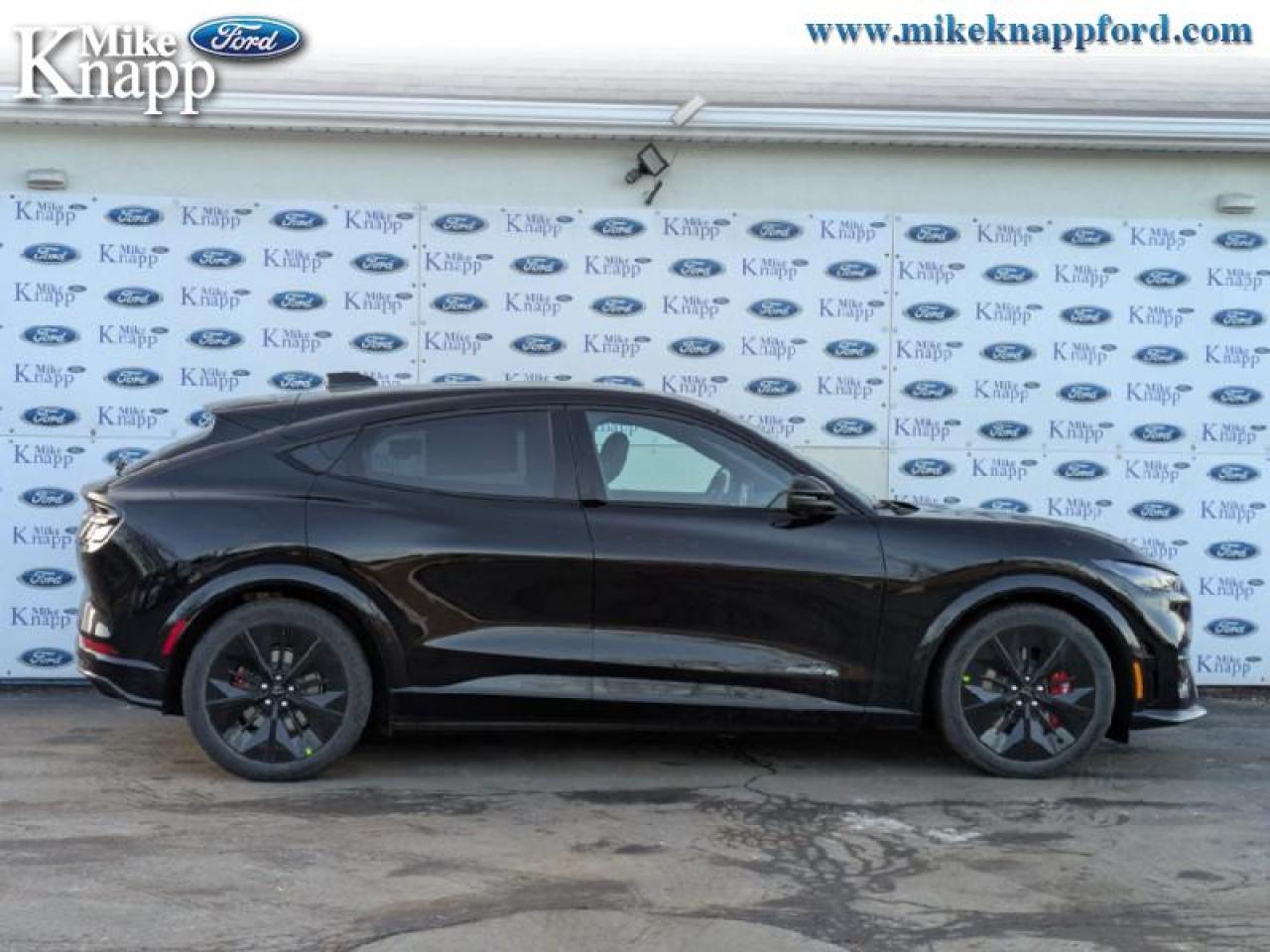 2025 Ford Mustang Mach-E GT Photo