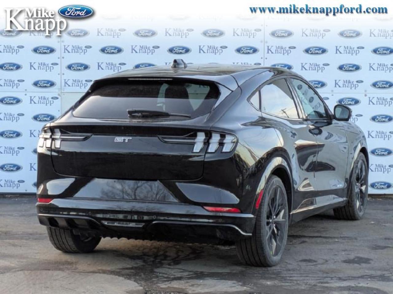 2025 Ford Mustang Mach-E GT Photo