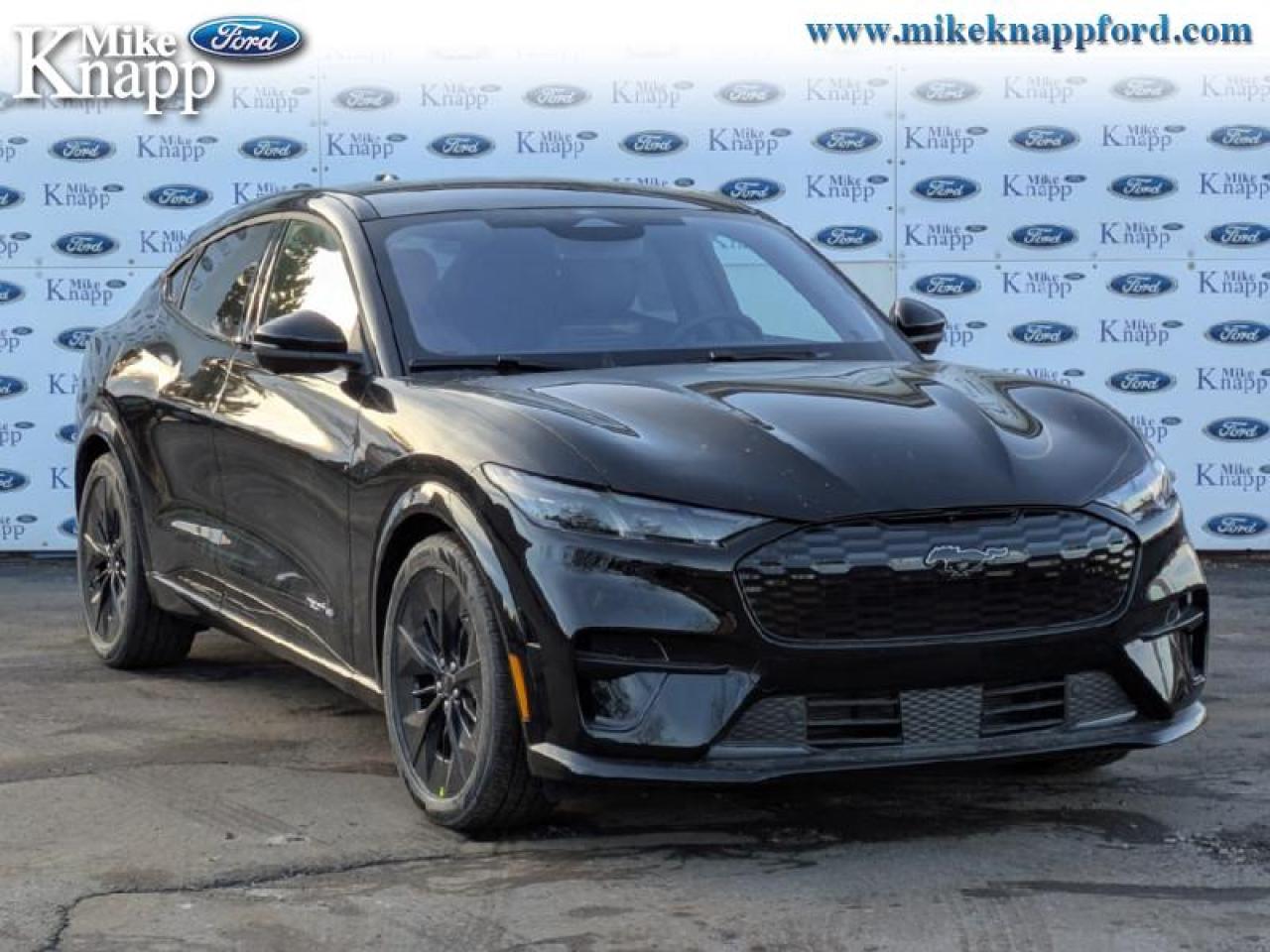 2025 Ford Mustang Mach-E GT Photo