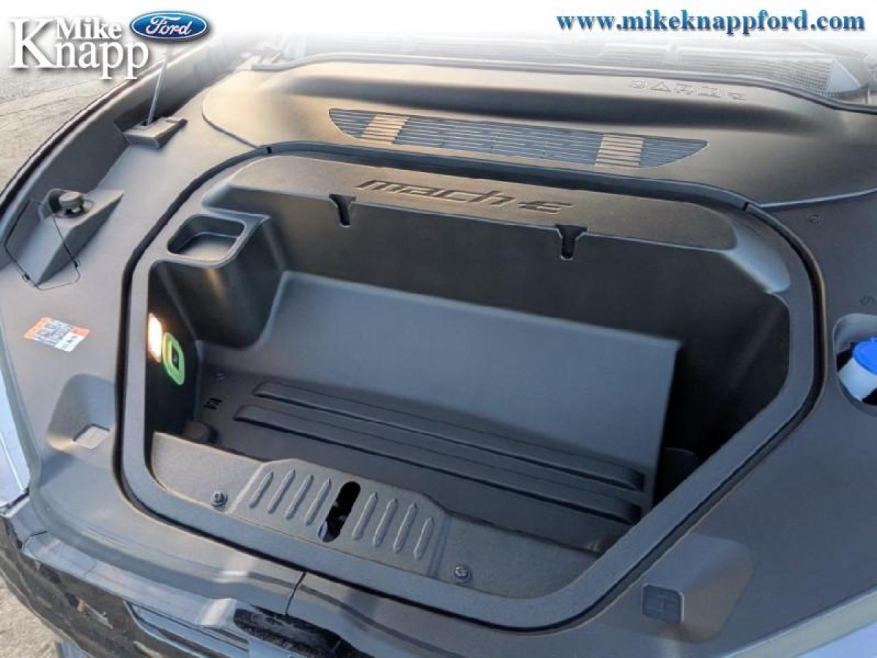 2025 Ford Mustang Mach-E GT Photo