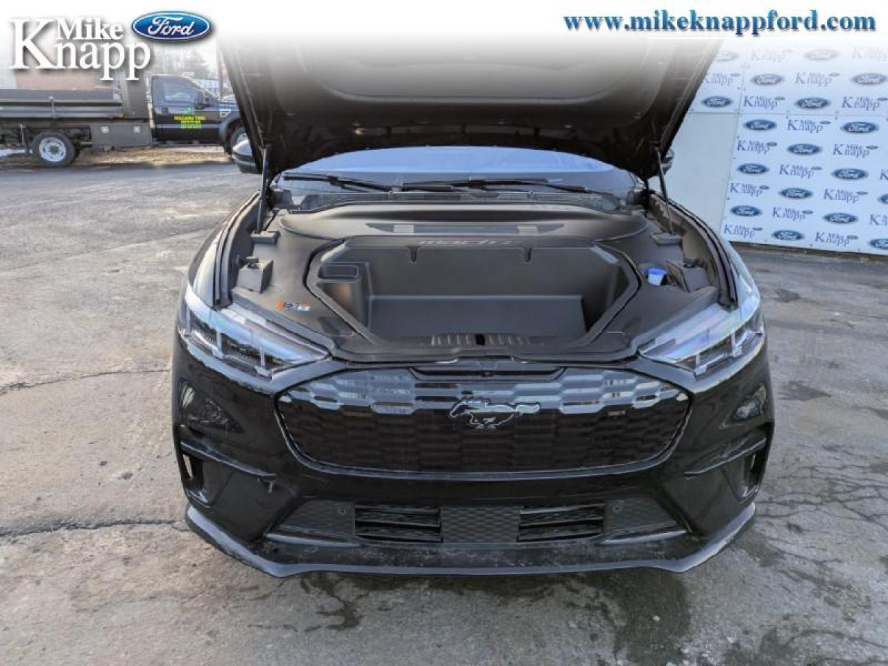 2025 Ford Mustang Mach-E GT Photo