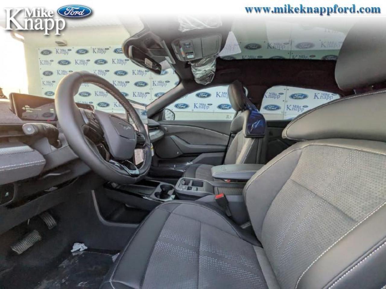 2025 Ford Mustang Mach-E GT Photo