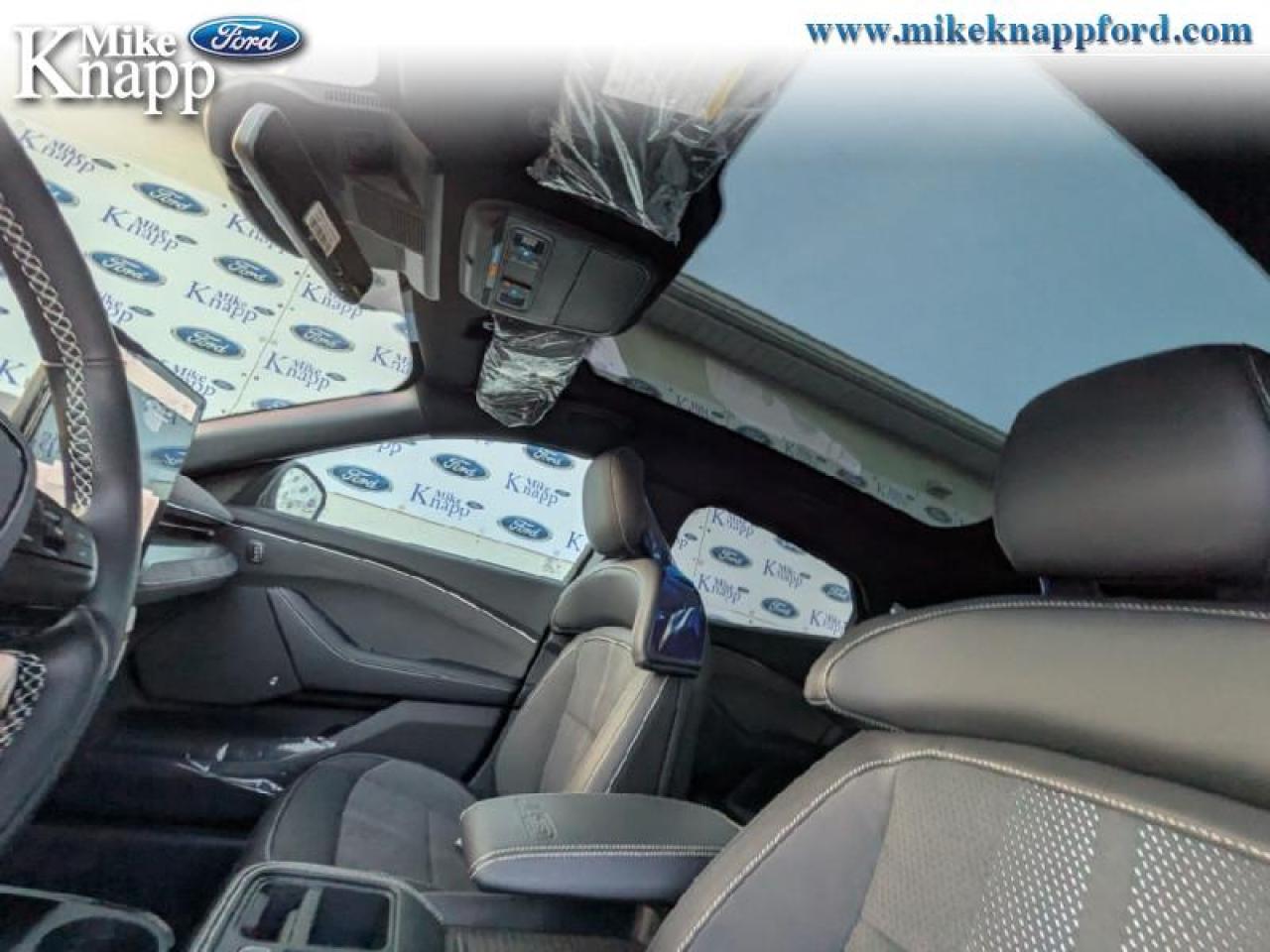 2025 Ford Mustang Mach-E GT Photo