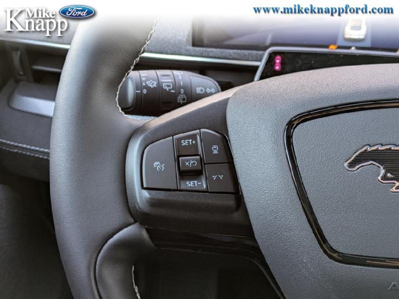 2025 Ford Mustang Mach-E GT Photo