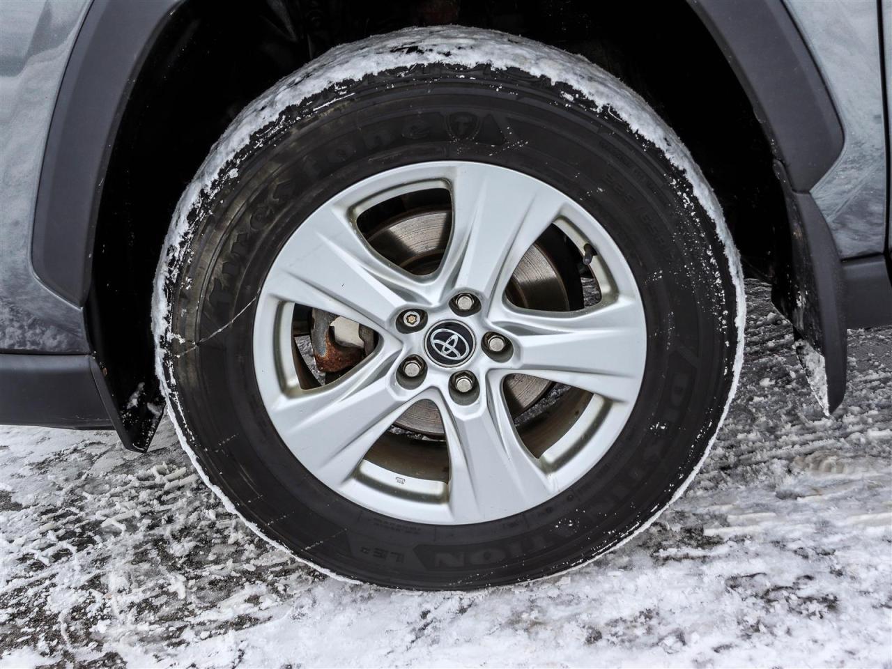 2019 Toyota RAV4 LE 4dr All-wheel Drive Photo