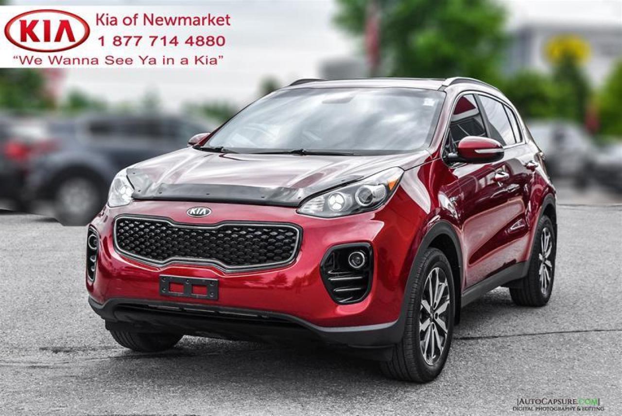 2018 Kia Sportage  Photo