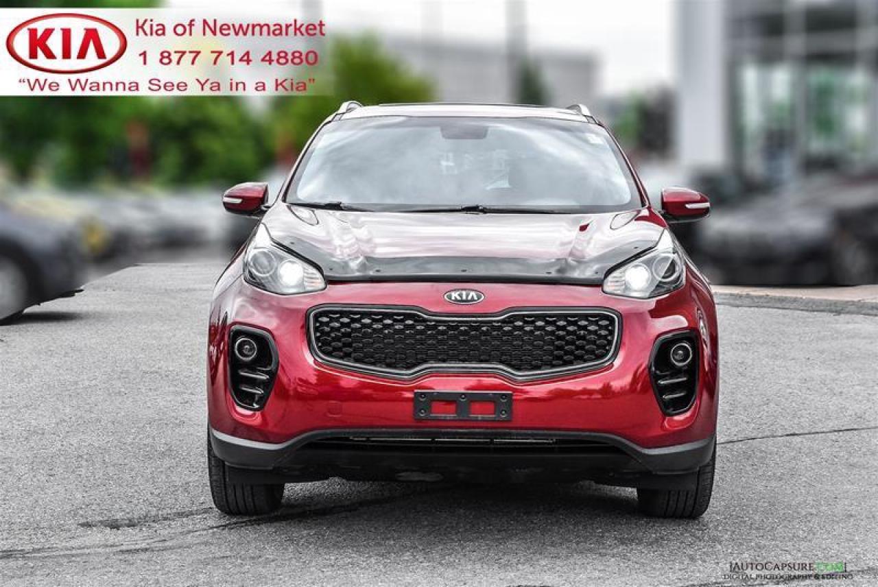2018 Kia Sportage  Photo