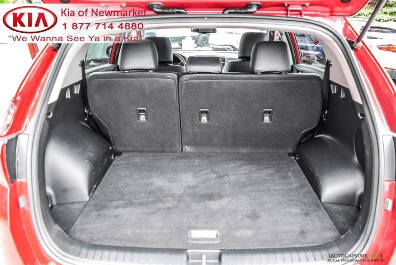 2018 Kia Sportage  Photo