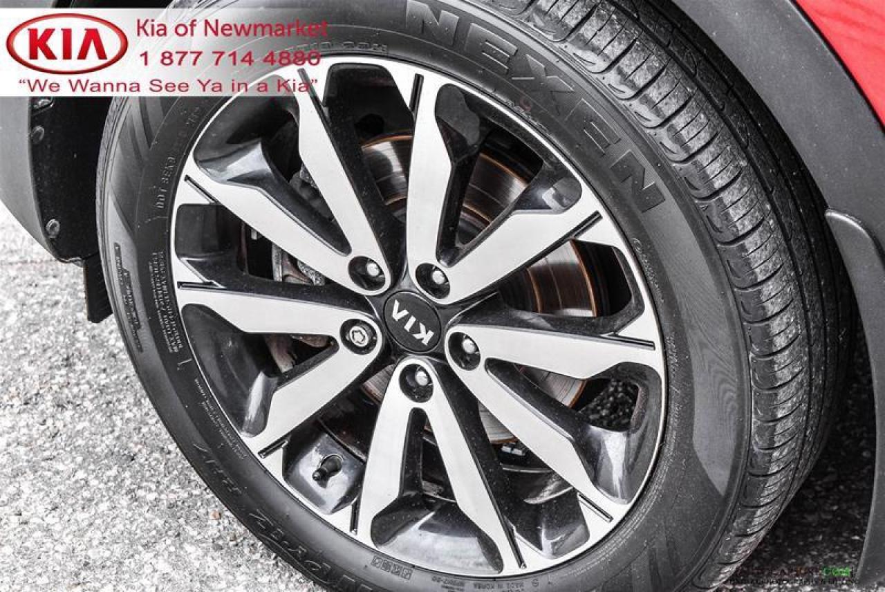 2018 Kia Sportage  Photo