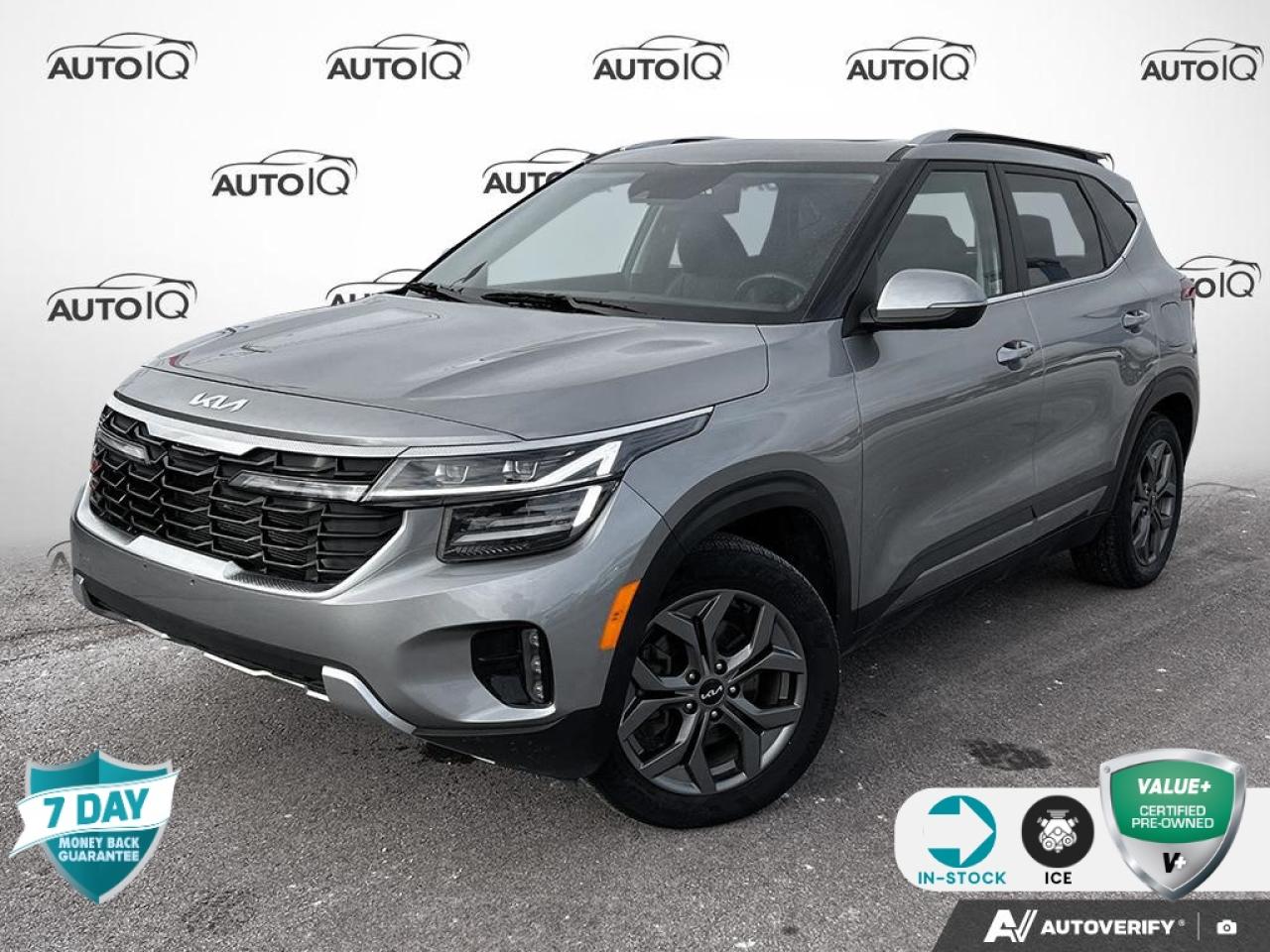 2025 Kia Seltos EX 4dr All-Wheel Drive Photo0