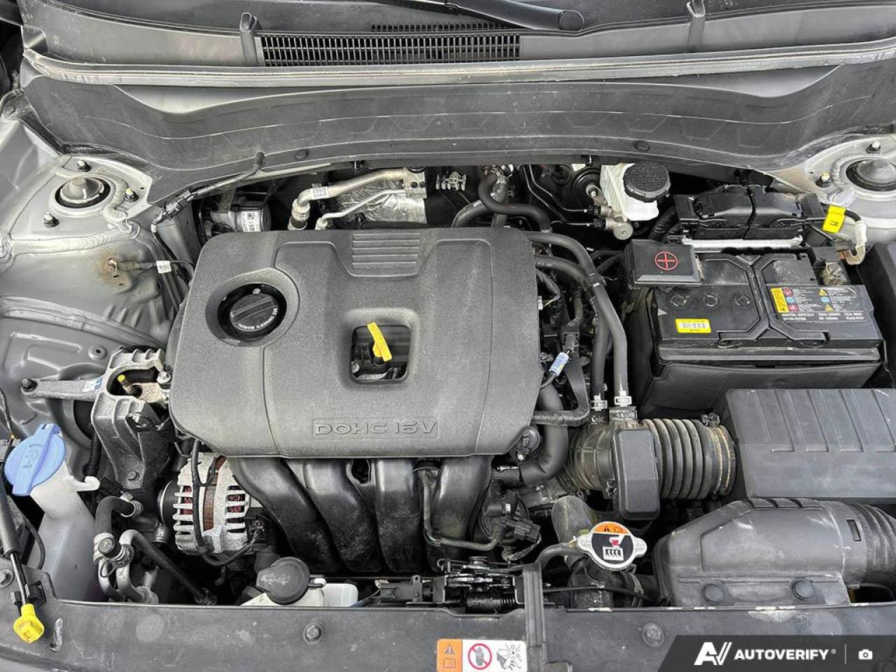 2025 Kia Seltos EX 4dr All-Wheel Drive Photo