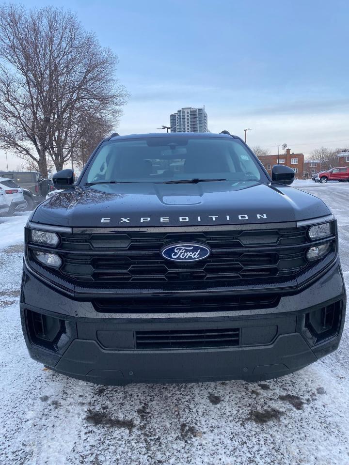 2025 Ford Expedition Active 4dr 4x4 Photo