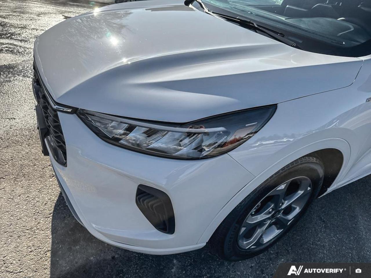 2023 Ford Escape ST-Line 4dr All-Wheel Drive Photo