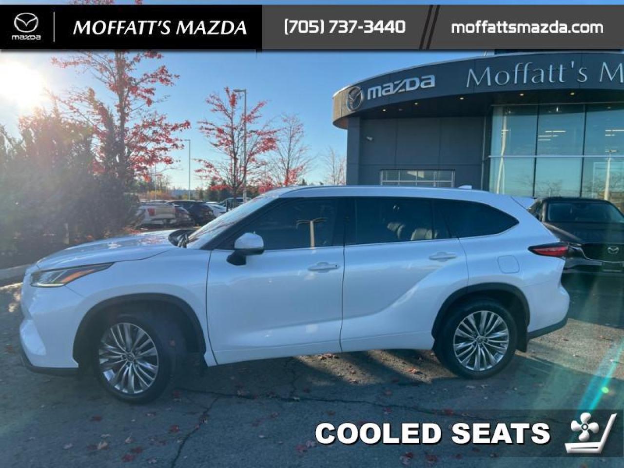 2022 Toyota Highlander Platinum Photo